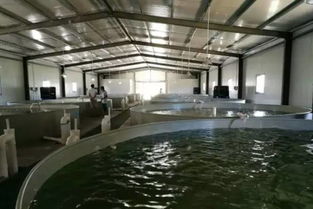 我們要養魚,我們也要環保 一文秒懂 工廠化水產養殖系統