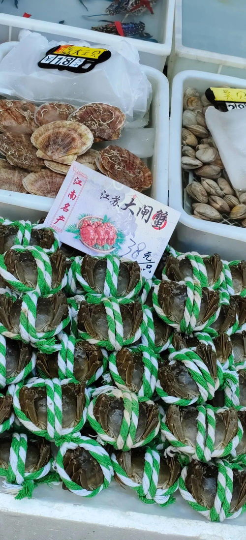 平靚正海鮮大量上市 廣州黃沙水產市場各類海鮮價格平穩貨量充足