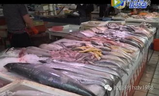 廣東惠州水產品及水產干制品合格率97.6