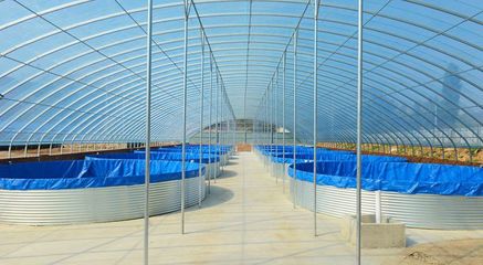 喀喇沁旗設施化冷水養殖異軍突起推動冷水魚產業提質升級