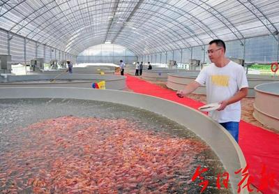 犀利!花都將創建國家級水產健康養殖和生態養殖示范區